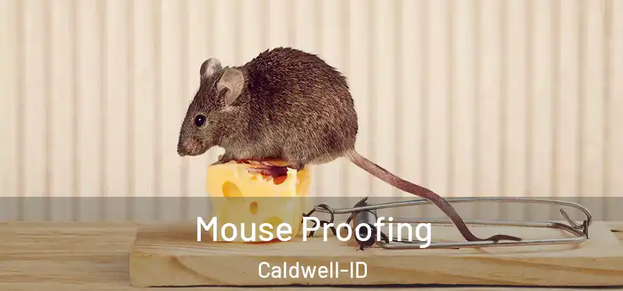 Mouse Proofing Caldwell-ID