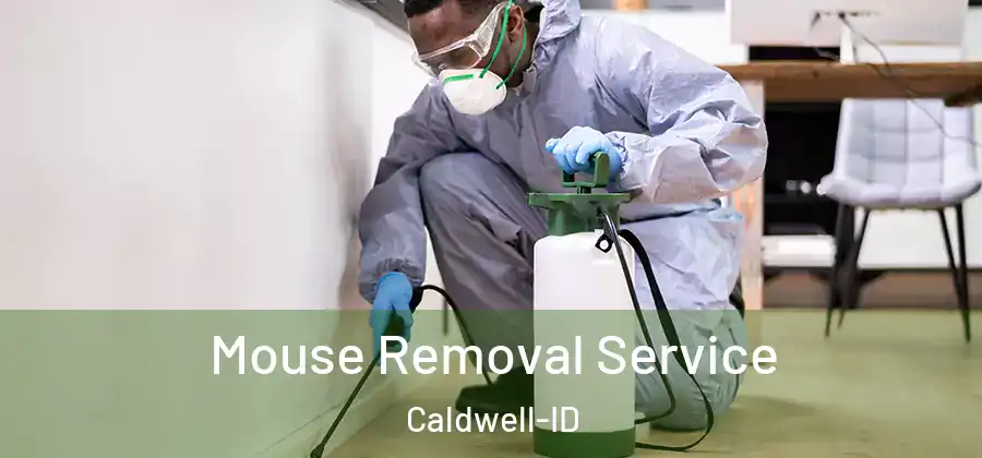  Mouse Removal Service Caldwell-ID