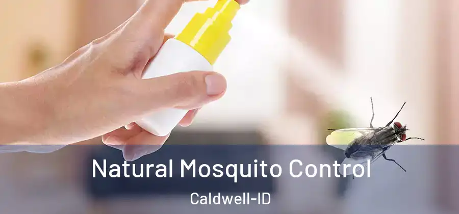 Natural Mosquito Control Caldwell-ID