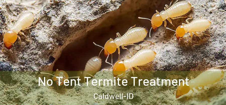No Tent Termite Treatment Caldwell-ID