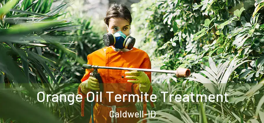 Orange Oil Termite Treatment Caldwell-ID