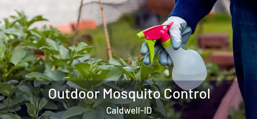 Outdoor Mosquito Control Caldwell-ID