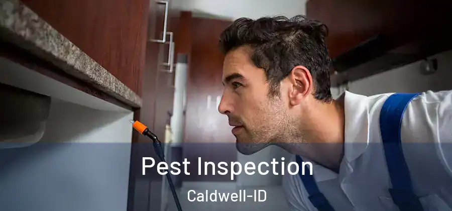 Pest Inspection Caldwell-ID