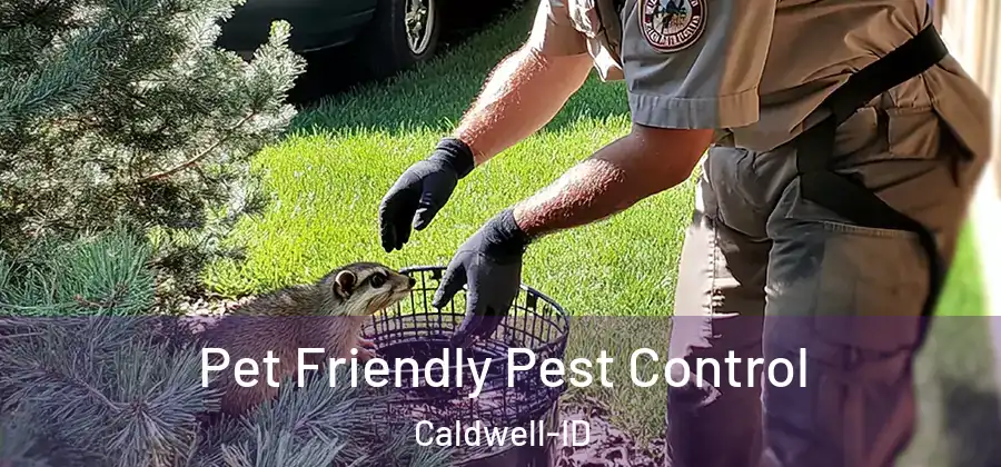 Pet Friendly Pest Control Caldwell-ID
