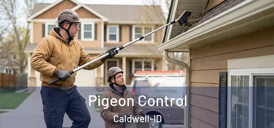 Pigeon Control Caldwell-ID
