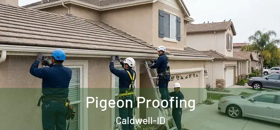  Pigeon Proofing Caldwell-ID
