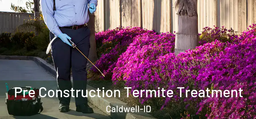 Pre Construction Termite Treatment Caldwell-ID