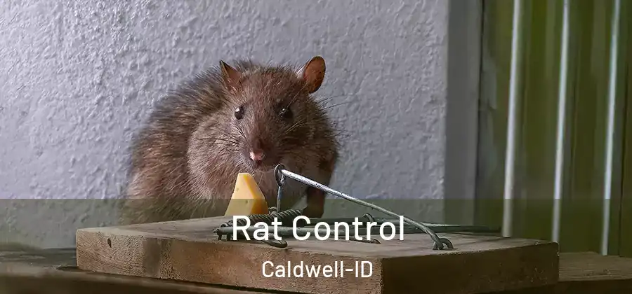 Rat Control Caldwell-ID