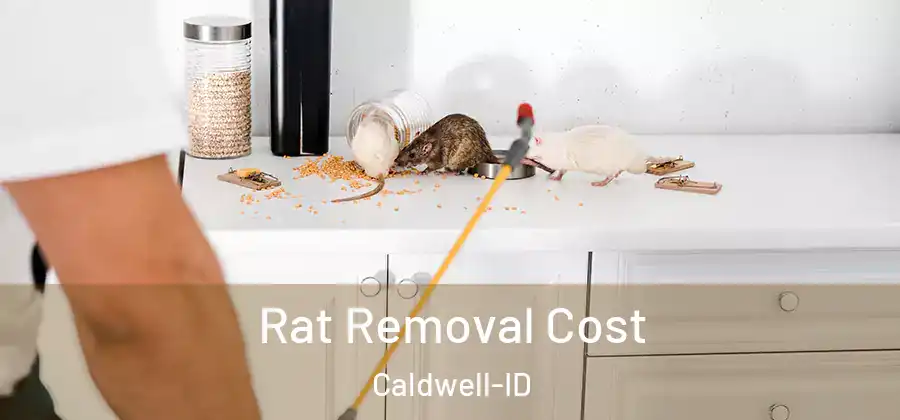 Rat Removal Cost Caldwell-ID