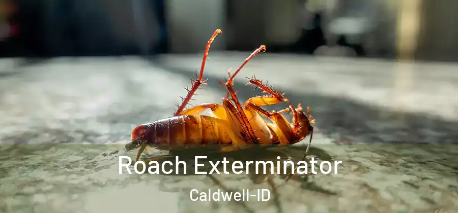 Roach Exterminator Caldwell-ID