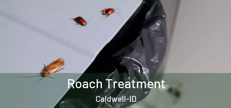 Roach Treatment Caldwell-ID