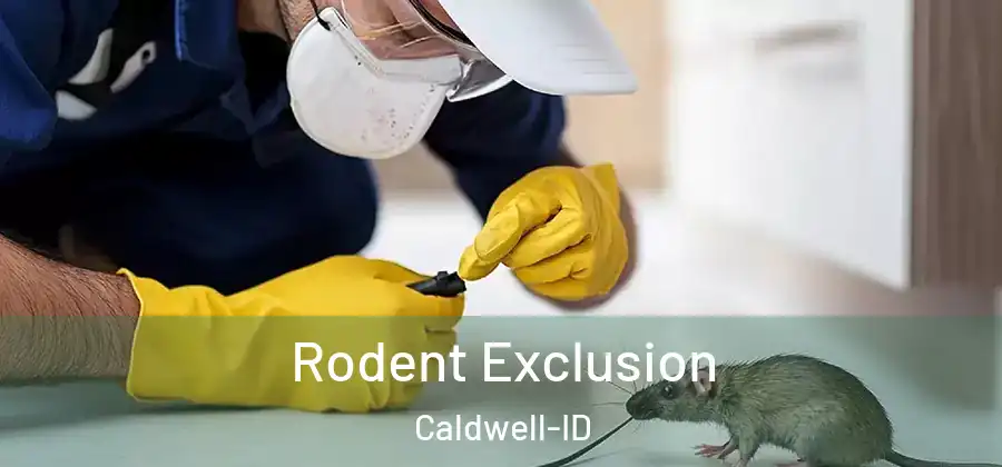Rodent Exclusion Caldwell-ID