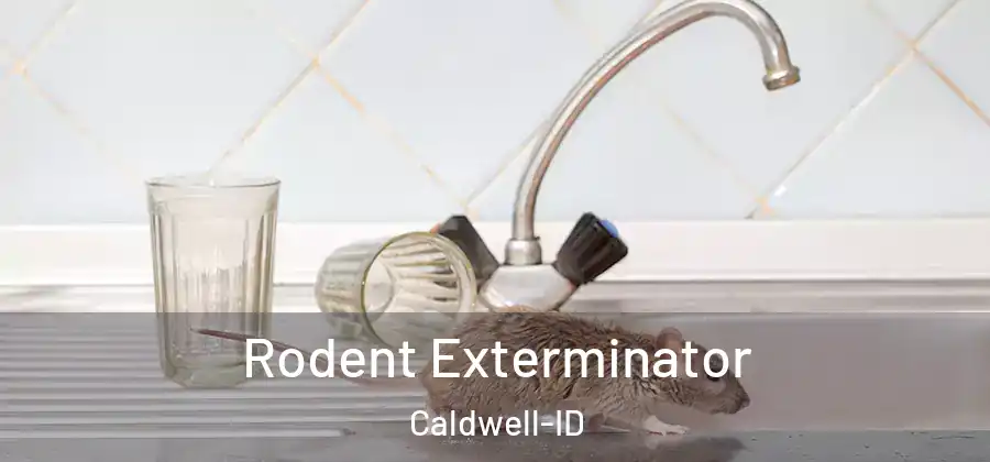 Rodent Exterminator Caldwell-ID