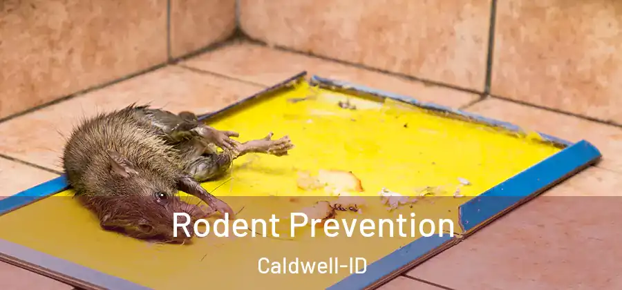 Rodent Prevention Caldwell-ID