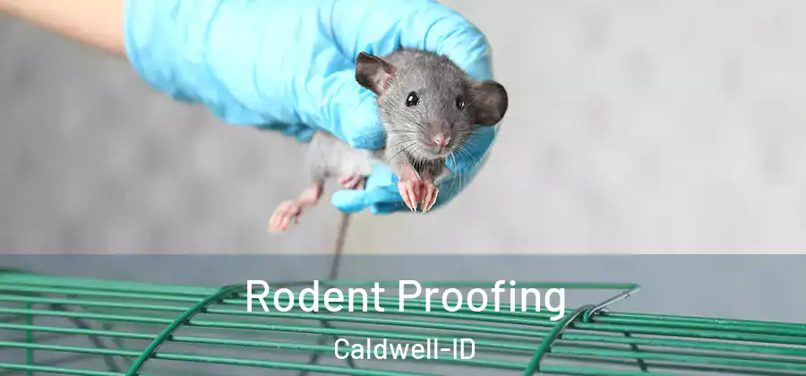 Rodent Proofing Caldwell-ID
