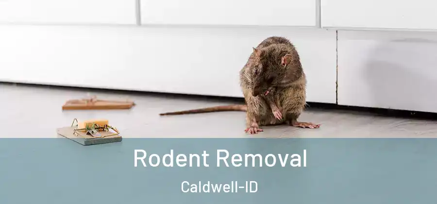 Rodent Removal Caldwell-ID