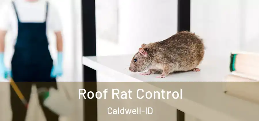 Roof Rat Control Caldwell-ID