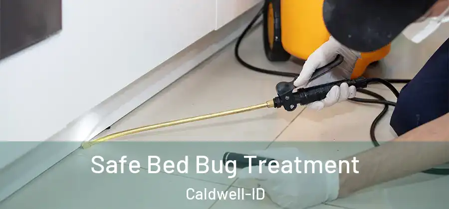 Safe Bed Bug Treatment Caldwell-ID