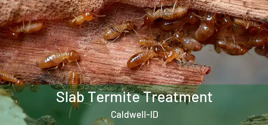Slab Termite Treatment Caldwell-ID