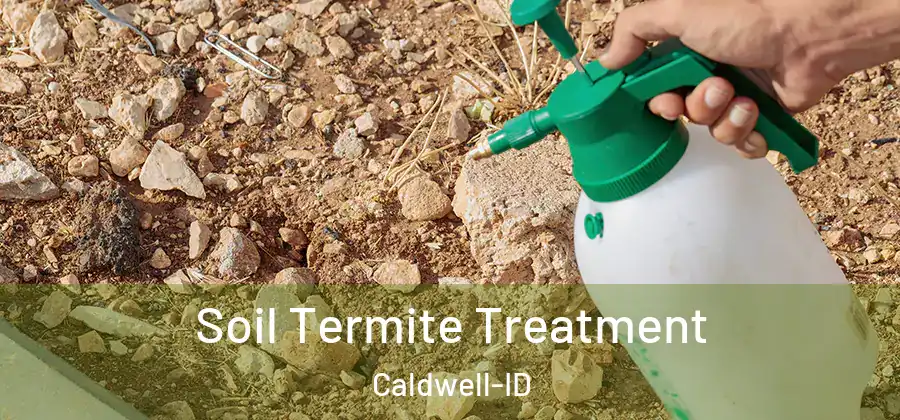 Soil Termite Treatment Caldwell-ID