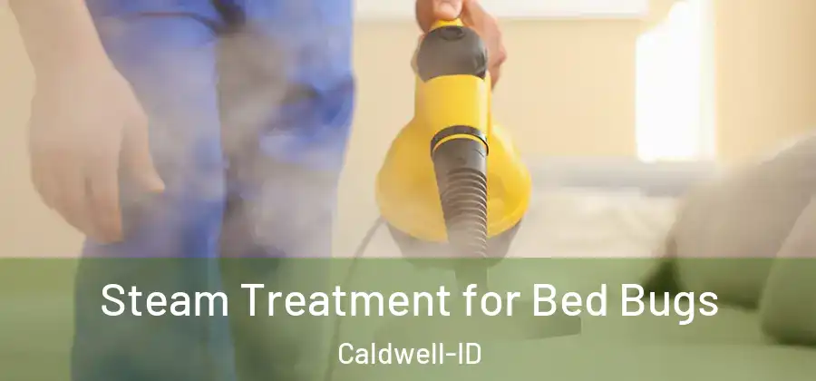 Steam Treatment for Bed Bugs Caldwell-ID