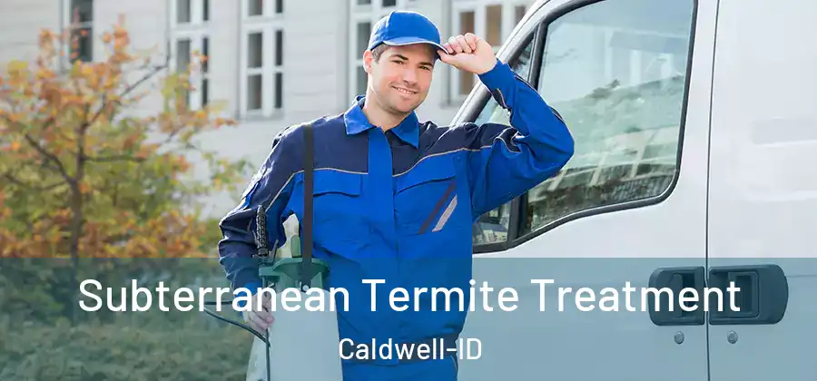 Subterranean Termite Treatment Caldwell-ID