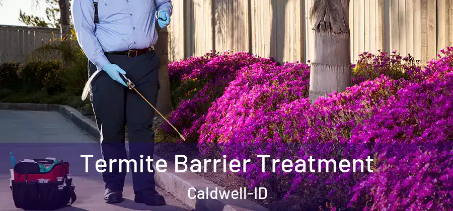 Termite Barrier Treatment Caldwell-ID