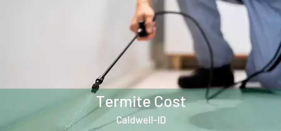 Termite Cost Caldwell-ID