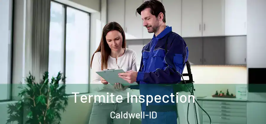 Termite Inspection Caldwell-ID