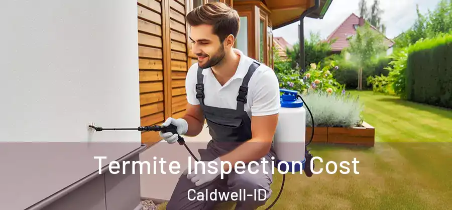 Termite Inspection Cost Caldwell-ID
