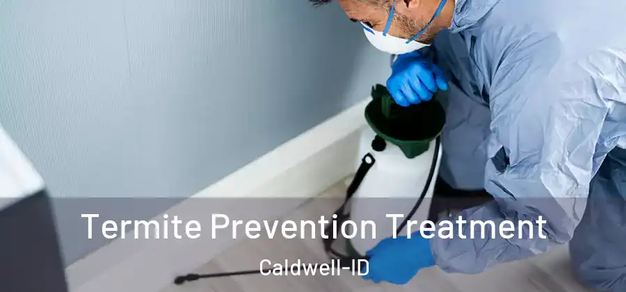 Termite Prevention Treatment Caldwell-ID