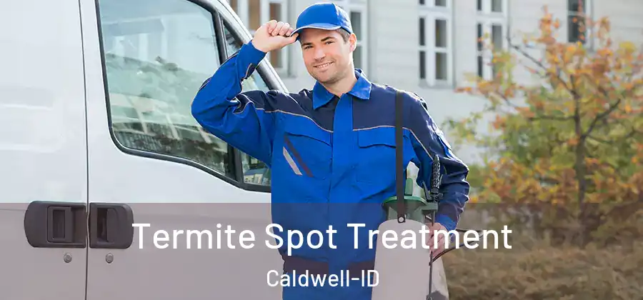 Termite Spot Treatment Caldwell-ID