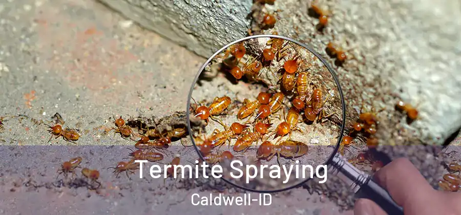 Termite Spraying Caldwell-ID