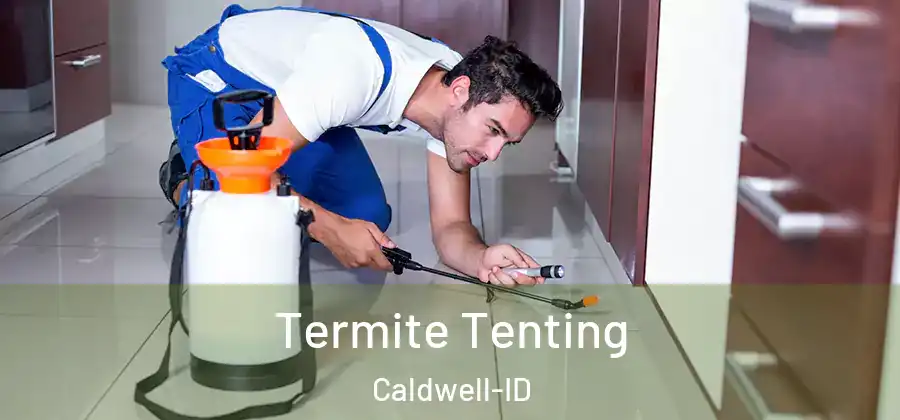  Termite Tenting Caldwell-ID