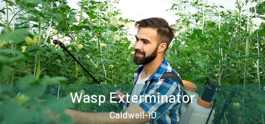 Wasp Exterminator Caldwell-ID