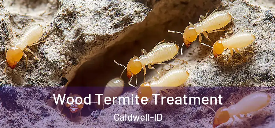 Wood Termite Treatment Caldwell-ID