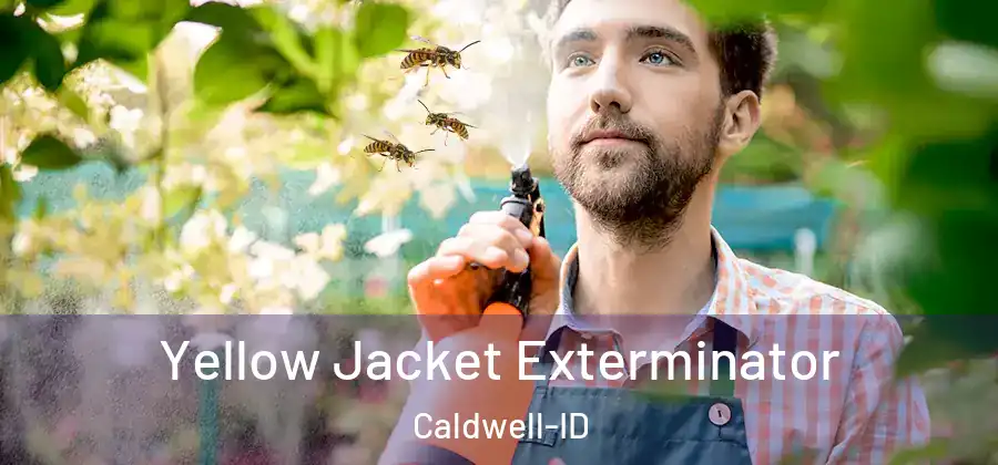 Yellow Jacket Exterminator Caldwell-ID